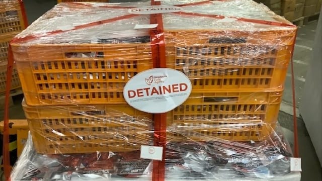 供应商未经许可进口加工肉制品 被判罚款9500元