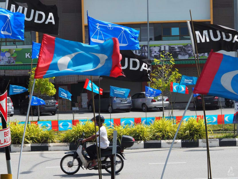 Johor youths decide: As parties target first-time voters, election outcome an indicator of national trends
