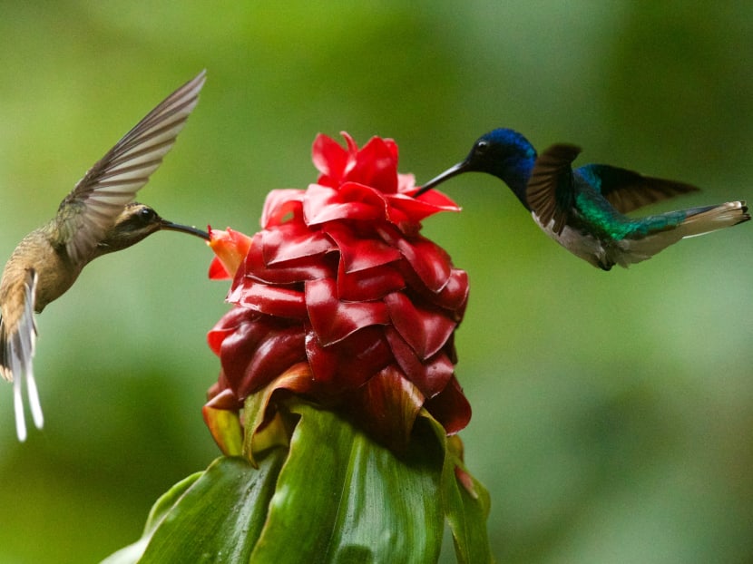 Photo: James Wainscoat/Unsplash.com