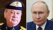 Composite image malaysia king and putin