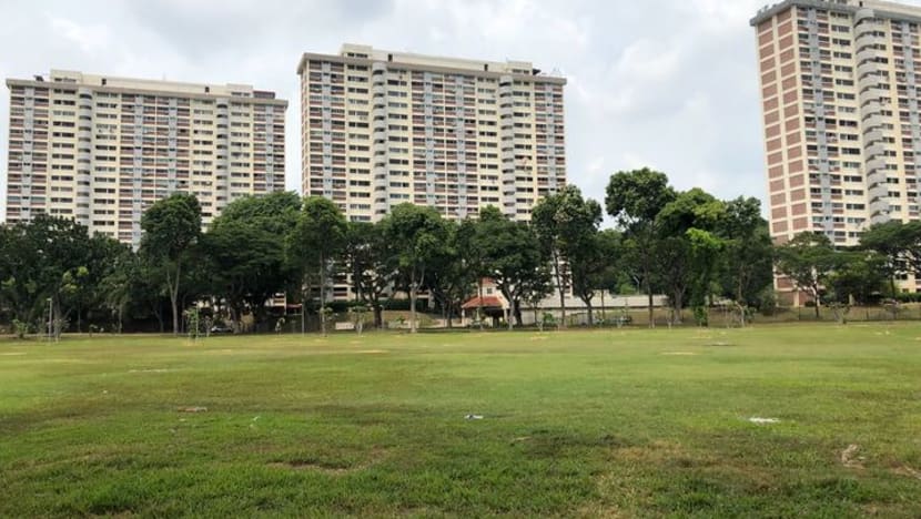 Through nature reserve or around? Residents, nature groups stick to guns on Cross Island Line paths