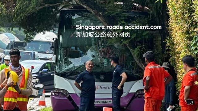 杨厝港路连环车祸 巴士撞树三乘客受伤