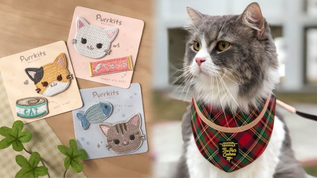 猫奴看这里！这些猫咪商品绝对让你爱不释手！