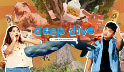 Deep Dive