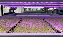 Commentary: How Singapore should tackle food resilience after dropping '30 by 30' goal