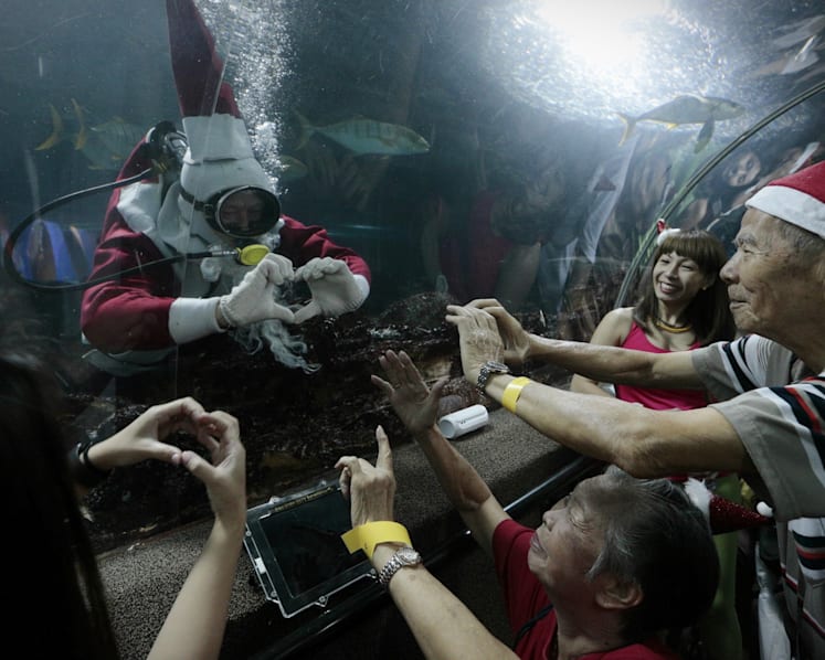 Underwater World closure plan draws flak from animal lovers