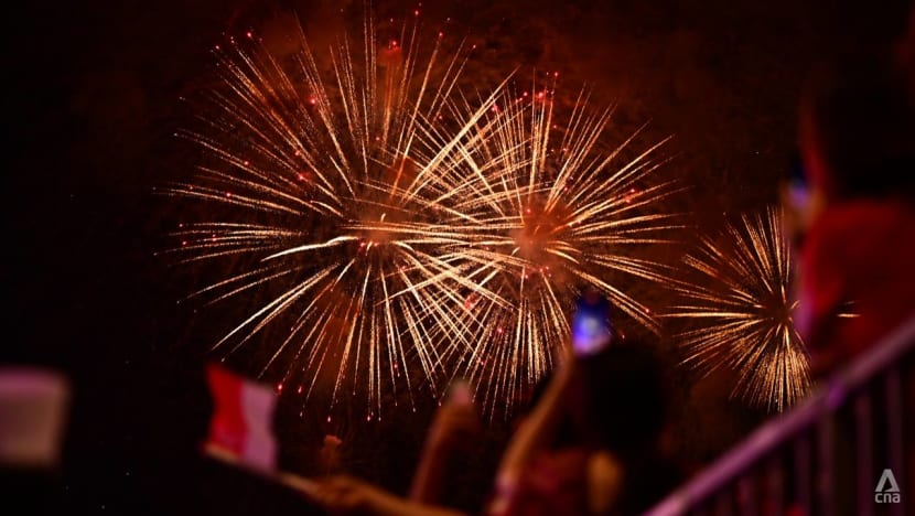 NDP 2024: Heartland celebrations sites announced for Singapore's 59th birthday NDP 2024: Heartland celebrations sites announced for Singapore's 59th birthday
