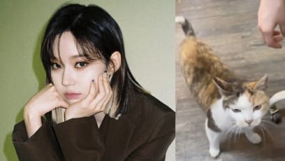 Netizens Accuse Korean Girl Group Member Of Animal Abuse 'Cos Of This Five-Second Video