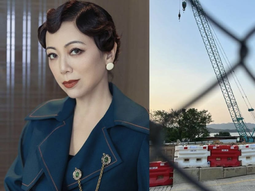 Sheren Tang Bemoans The Constant Development of Hongkong&rsquo;s Beachfronts; Says It&rsquo;s &ldquo;Frightening"