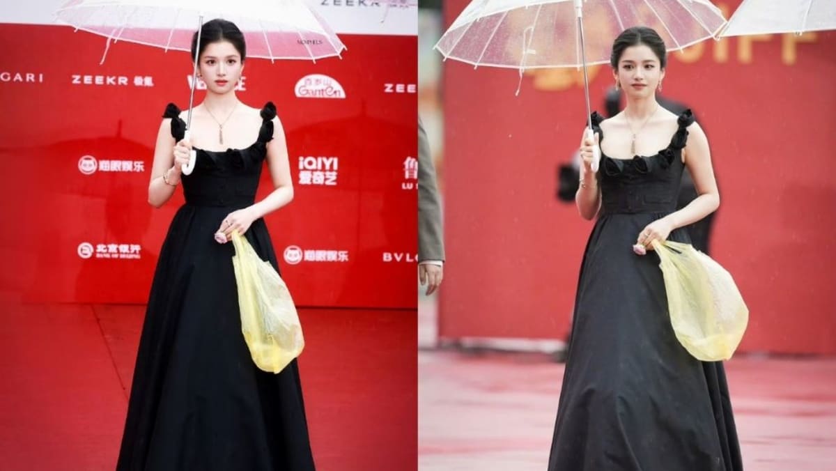 Chinese actress Zhang Jingyi walked red carpet with plastic bag, everyone thought it was a US$1,790 bag