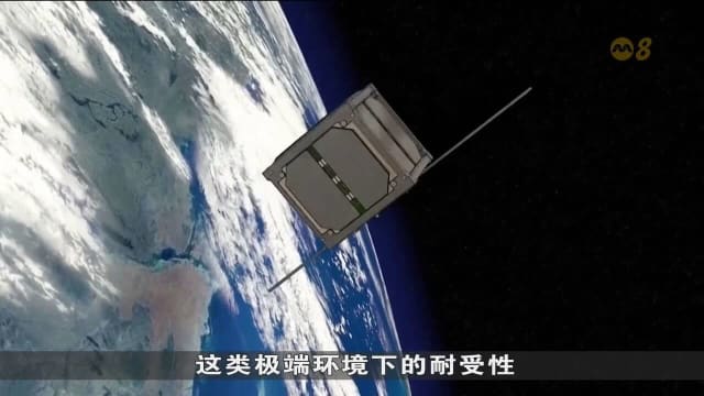 日本研发世界首颗木制人造卫星 拟下周发射升空