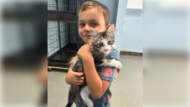 为筹资领养爱猫  美六岁男童做起清理宠物粪便生意赚钱