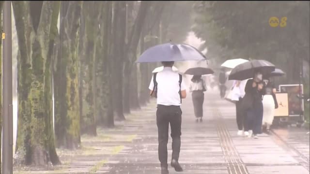台风珊珊致日本过百人死伤 部分列车停运两天