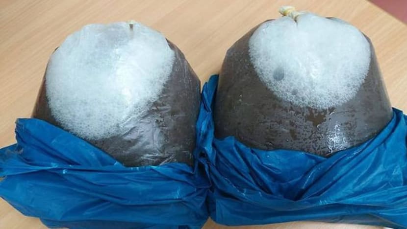 ICA patahkan 2 percubaan seludup ketum di Pusat Pemeriksaan Woodlands ICA patahkan 2 percubaan seludup ketum di Pusat Pemeriksaan Woodlands