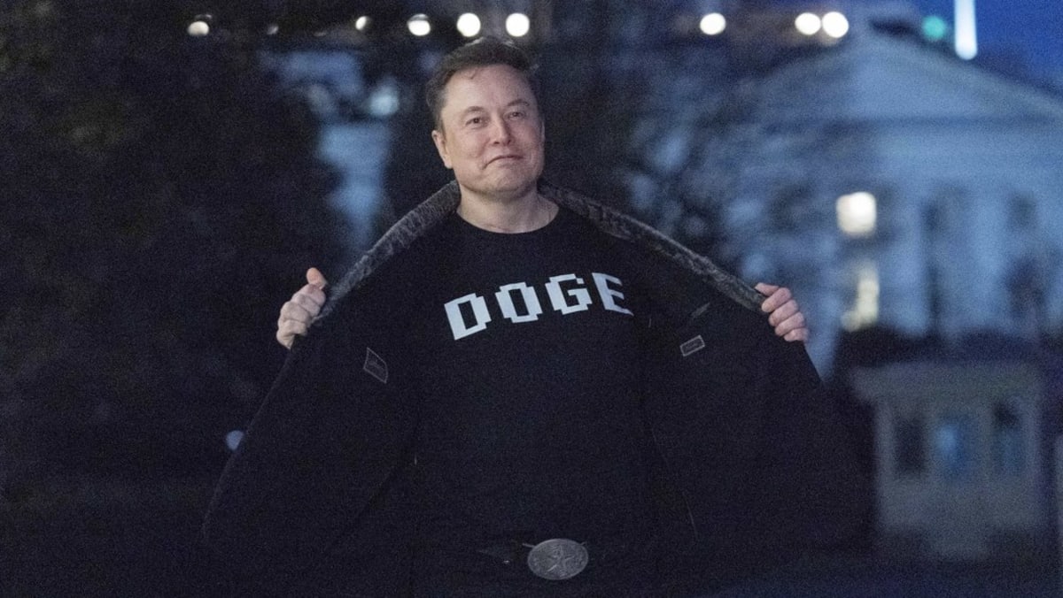 Musk admits DOGE cost-cutting drive falls short