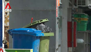Keeping S'pore clean: Targeted cleanup efforts has led to fewer refuse management lapses, says NEA 