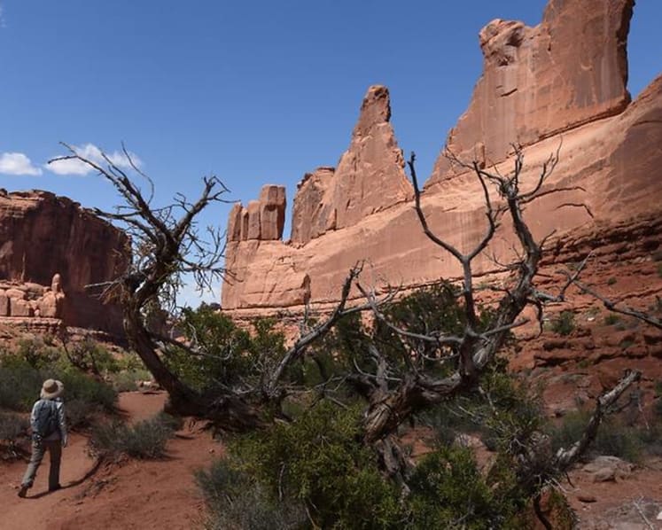 US National Park Service faces US$270 million wrongful death claim
