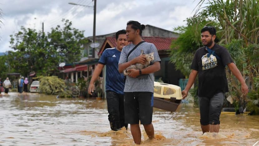 Gambar Pilihan Hari Ini