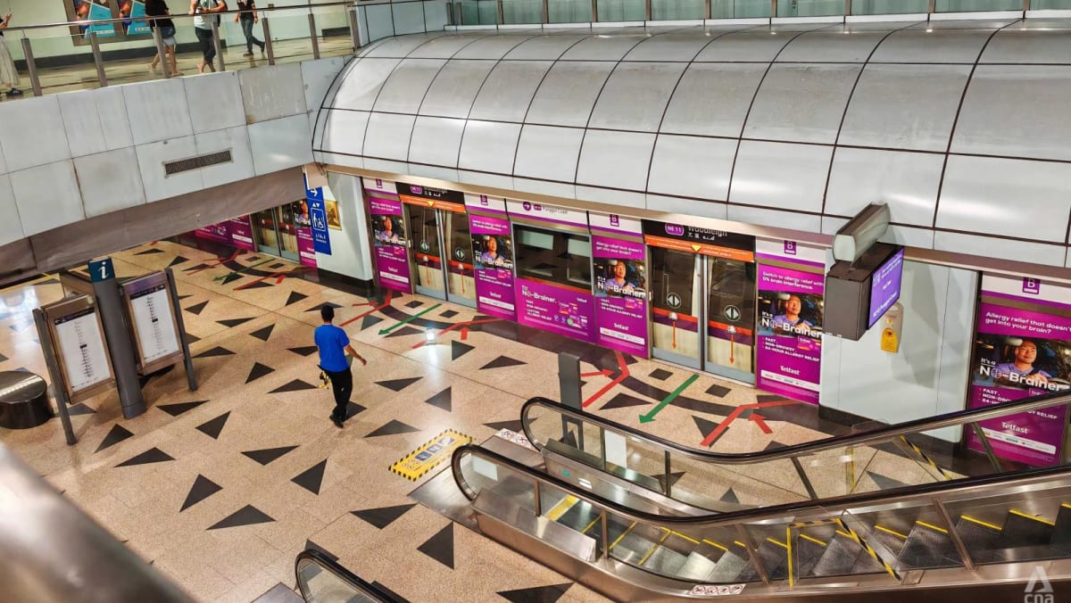 NEL disruption: No train services at 11 stations due to power fault; Sengkang-Punggol LRT also down