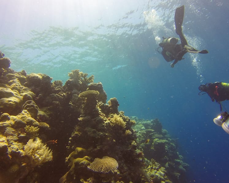 It might be the world’s biggest ocean, but the mighty Pacific is in peril