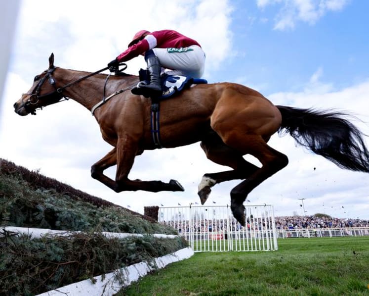 Horse Racing-Gold Dancer suffers fatal injury in Aintree victory