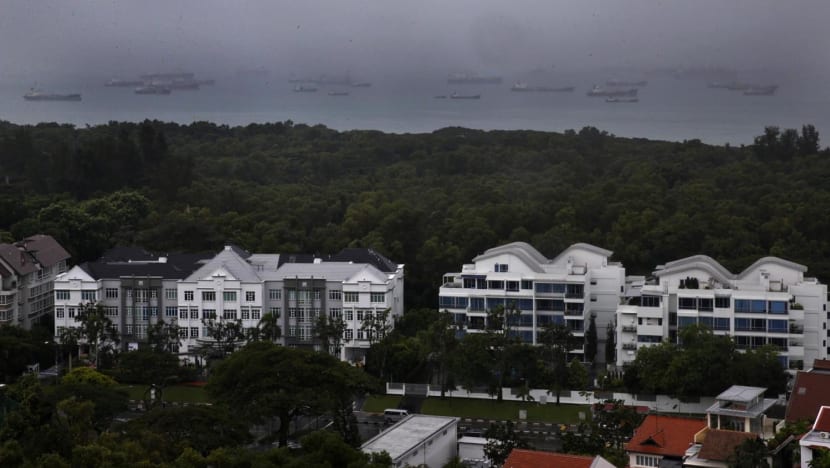 Forest area the size of 43 football fields to be cleared for future Bayshore housing projects