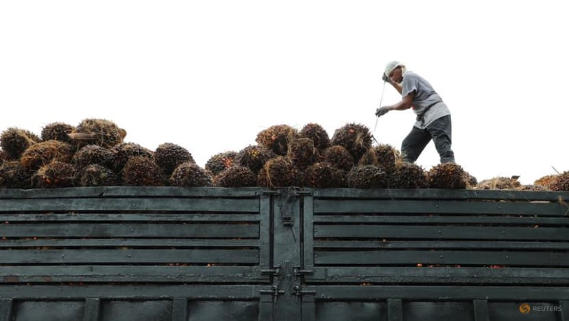 Malaysia's palm oil stocks rise to highest in nearly two years Malaysia's palm oil stocks rise to highest in nearly two years