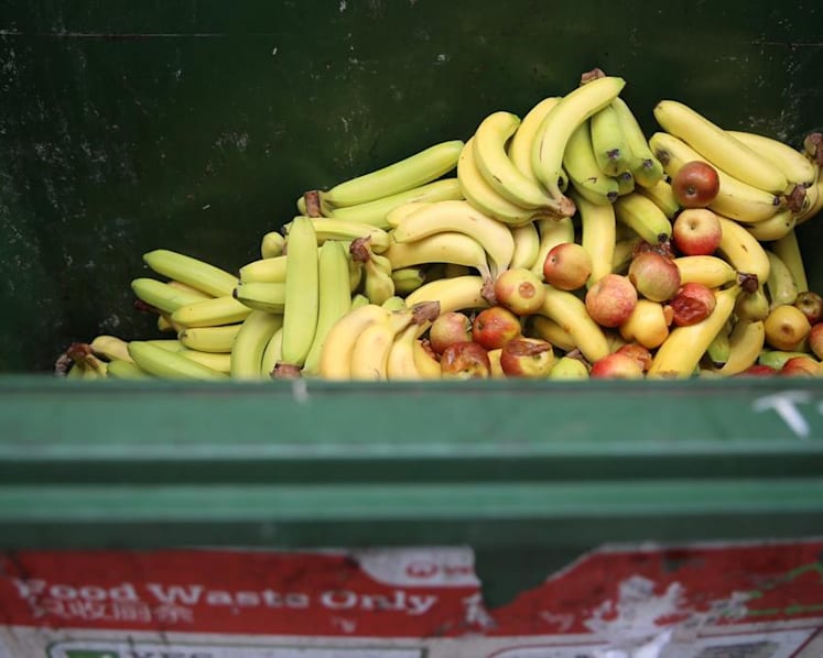 To cut waste, set up supermarket selling overstocked, expiring goods