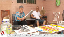 China tackles chikungunya virus outbreak amid hot weather