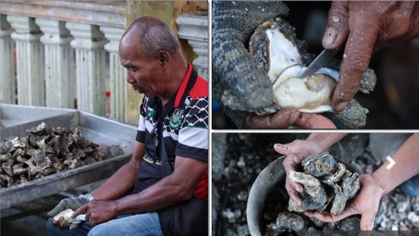 Generasi ketiga penyelam tiram teruskan legasi di Muar