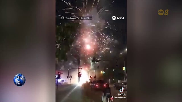 狮城有约 | 8分看视界：水獭家族逼退鳄鱼 马国失控“烟花秀”惊险万分