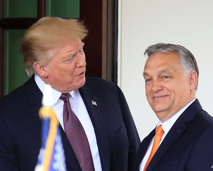 Hungary's leader Orban to visit Trump at Mar-a-Lago following NATO summit