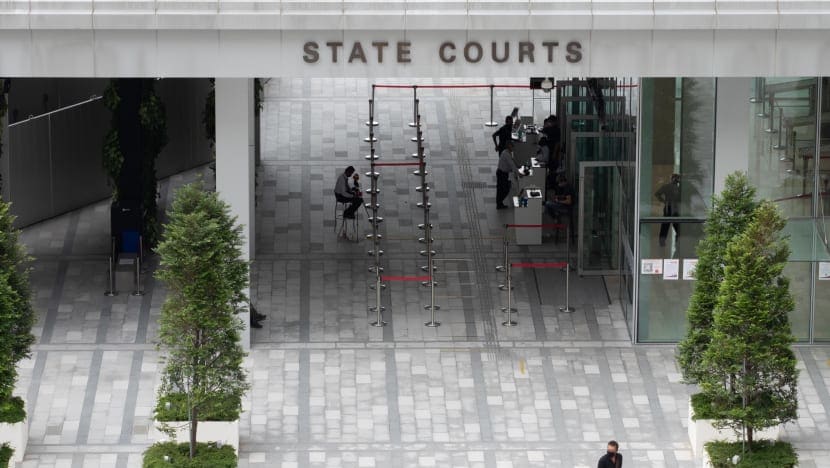 Man gets jail, fine over scheme to smuggle 12 dogs, 1 cat into S'pore; 2 dogs died in lorry