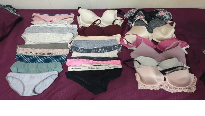 Pasir Ris underwear theft: Man arrested with more than 25 undergarments in his possession