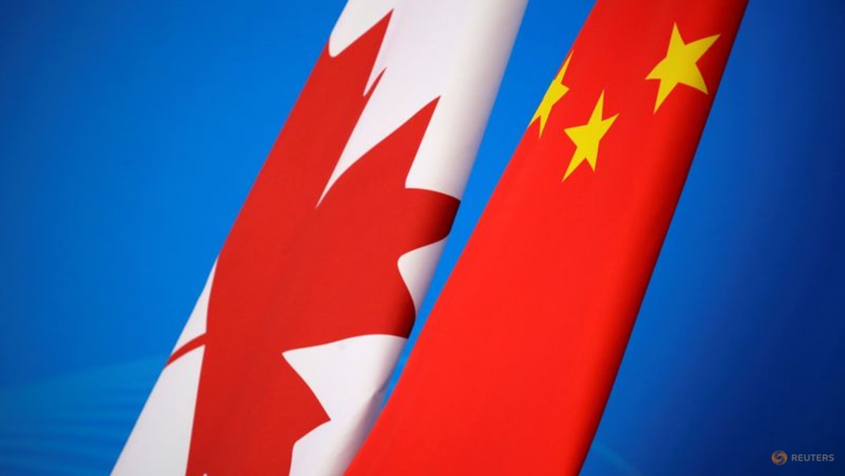 China wants to work with Canada to 'eliminate interference'