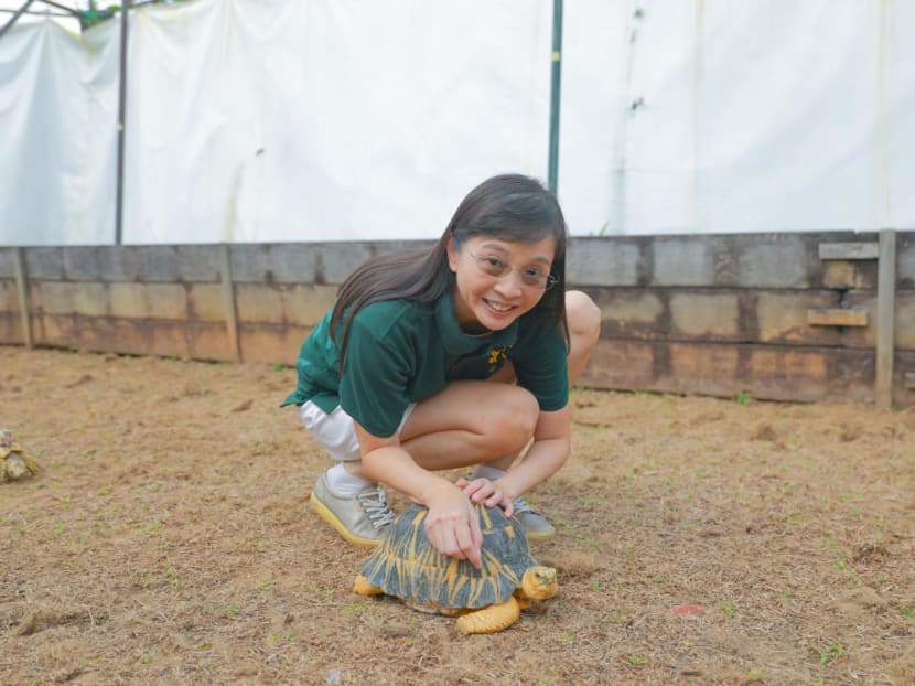 'I'm so touched': S$54,000 in donations pour in for embattled live turtle museum after plea from operator