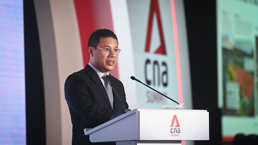 Long-term Singapore projects like 'Long Island' require political will: Desmond Lee