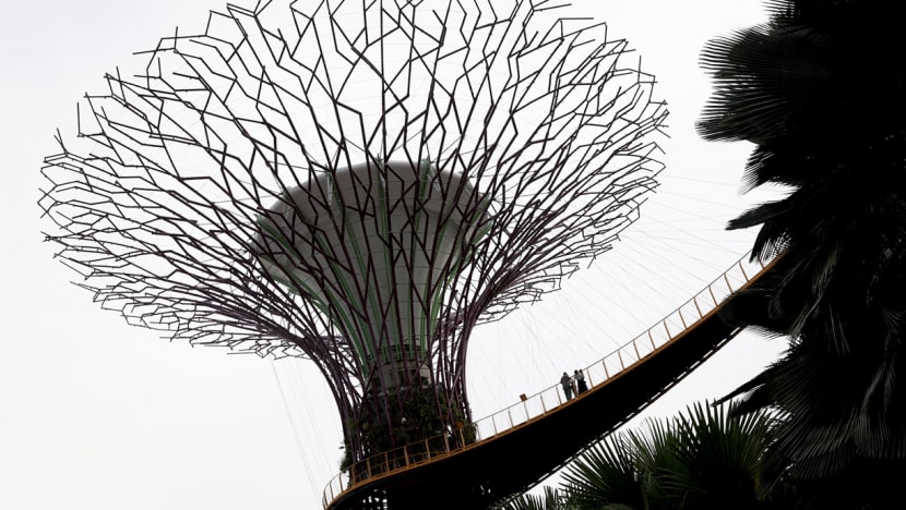 Travel publication ranks Singapore as the world's 'most Instagrammable place' in 2022