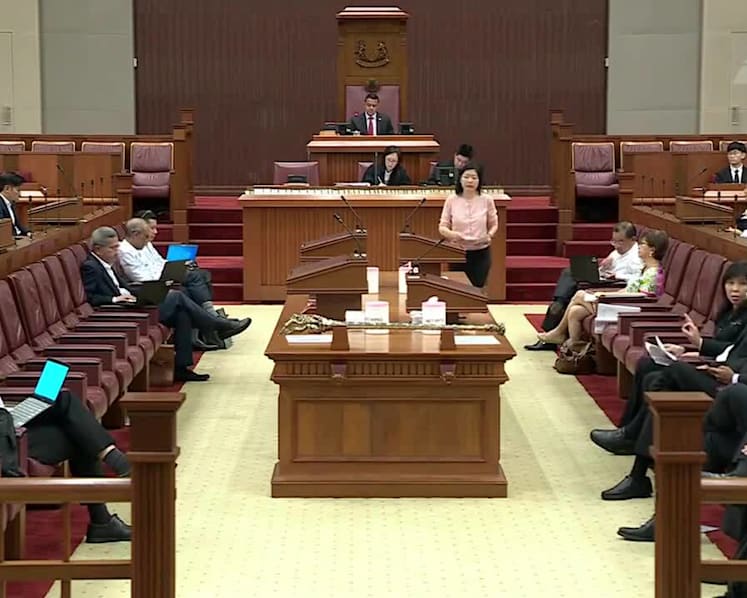 PAP MPs raise concerns about protecting family values and social policies as Parliament moves to decriminalise gay sex