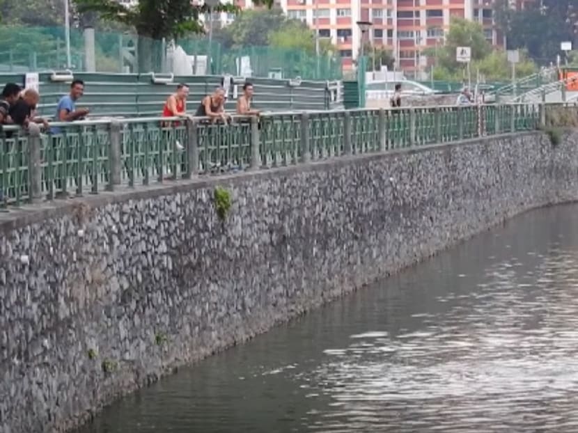 Man in blue appeared to be illegally fishing and baiting a family of otters along Kallang River. Photo: Fast Snail/Facebook