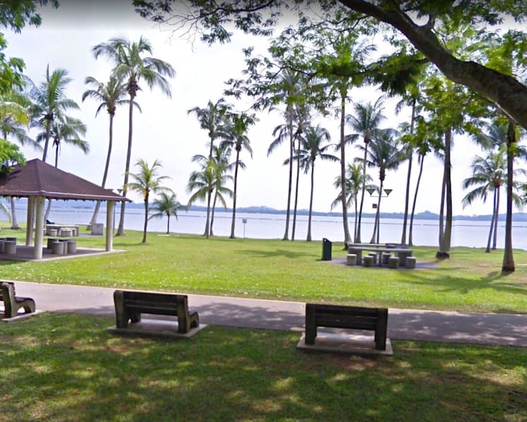 Police investigating after foetus found at Pasir Ris Park