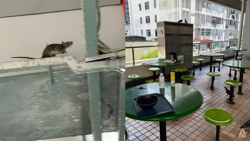 Rats at Beauty World food centre: Customers complain of dirty conditions, hawkers defend pest control efforts