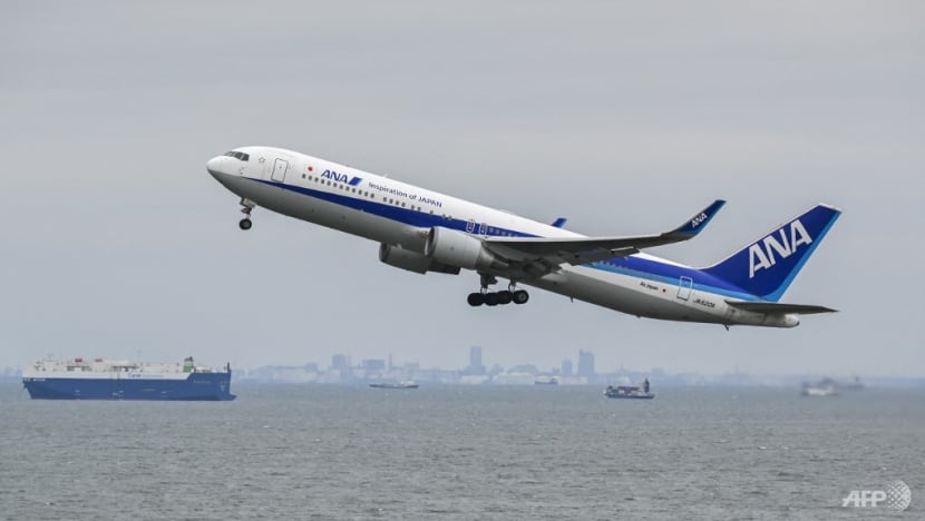 ANA to cancel, refund heavily discounted flight tickets bought during currency conversion glitch ANA to cancel, refund heavily discounted flight tickets bought during currency conversion glitch