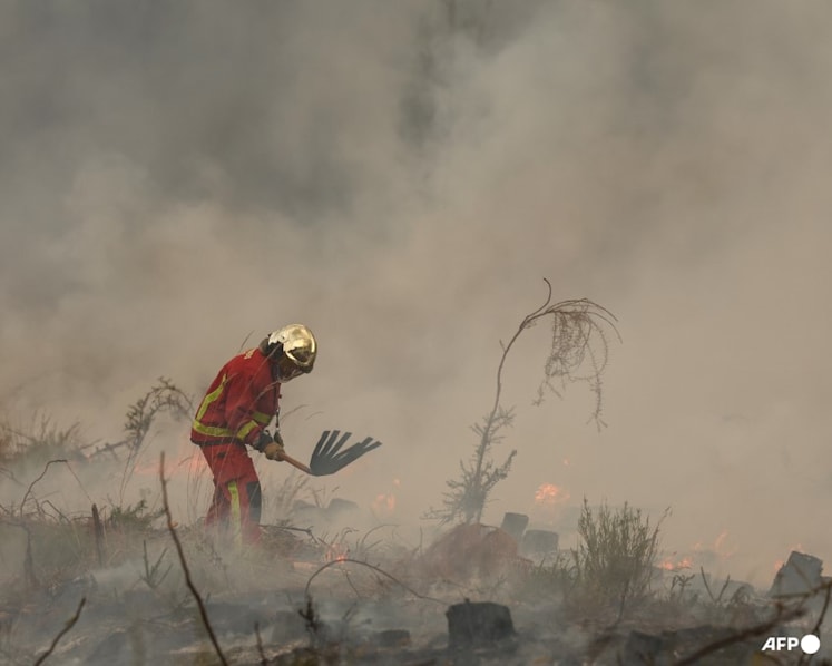 Wildfires overwhelm exhausted firefighters in France and Spain Wildfires overwhelm exhausted firefighters in France and Spain