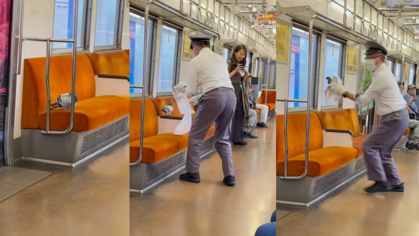 Pigeon Hitches Ride On Japan Train, Only To Be Chased Out By Conductor — Politely, Of Course
