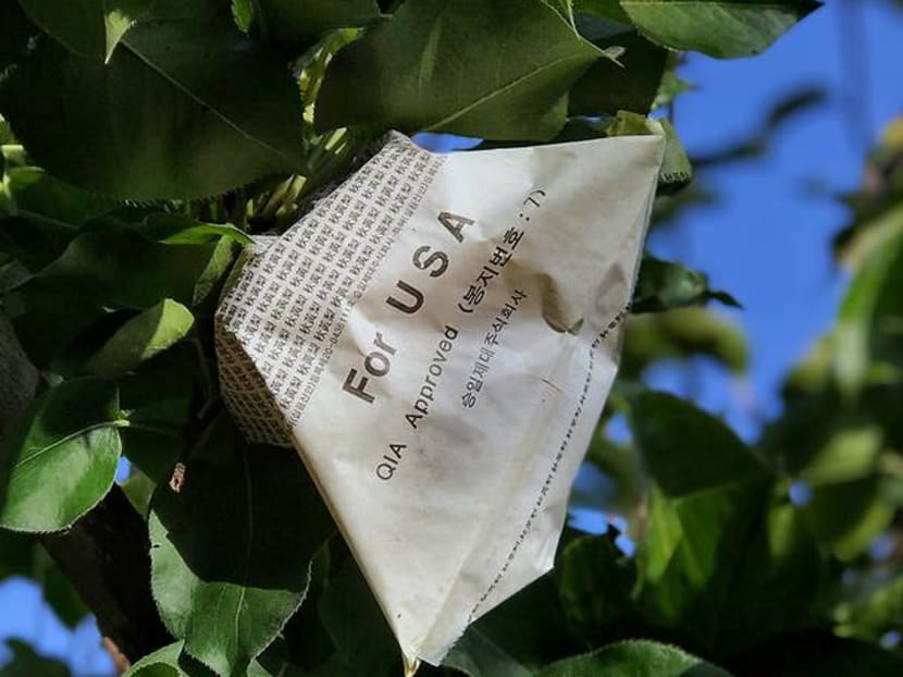 We Visited Korea's Farming Region And It's More Happening Than We Imagined