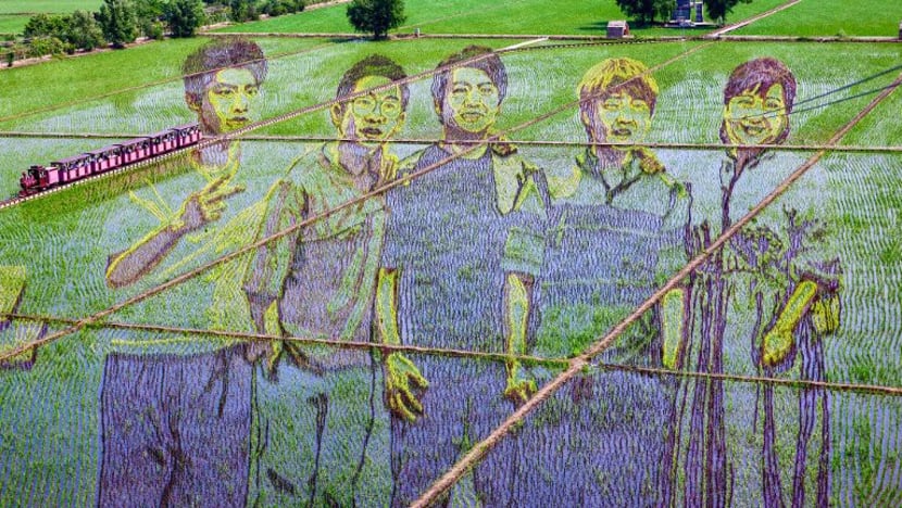 Gambar Pilihan Hari Ini