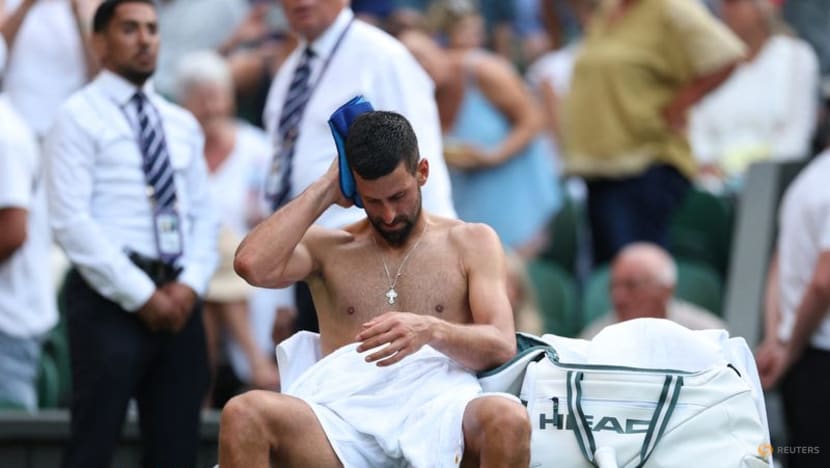Djokovic easing into old routine as seeds hit back at Wimbledon