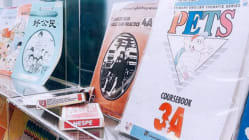 Related article image