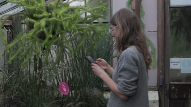 剑桥植物园推AI展览 扫描即可与20种植物“对话”